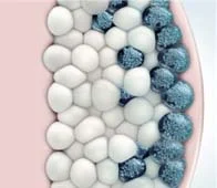 coolsculpting 2 CoolSculpting 2